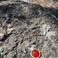 Karma Carnelian - Carnelian and Sterling Silver